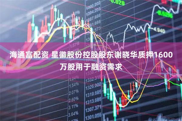 海通富配资 星徽股份控股股东谢晓华质押1600万股用于融资需求