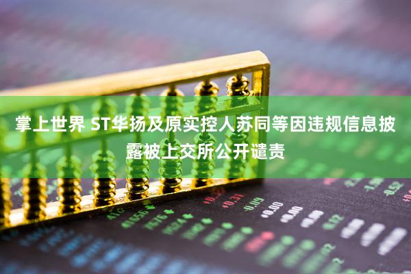 掌上世界 ST华扬及原实控人苏同等因违规信息披露被上交所公开谴责