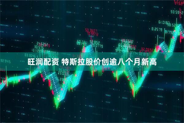 旺润配资 特斯拉股价创逾八个月新高