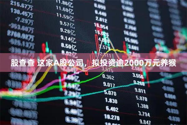 股查查 这家A股公司，拟投资逾2000万元养猴