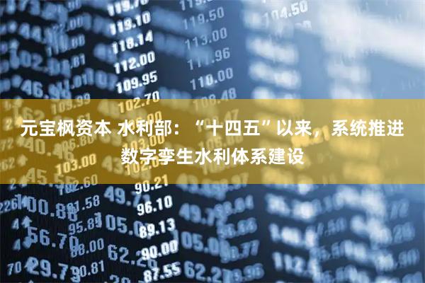 元宝枫资本 水利部：“十四五”以来，系统推进数字孪生水利体系建设