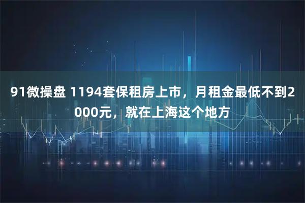 91微操盘 1194套保租房上市，月租金最低不到2000元，就在上海这个地方